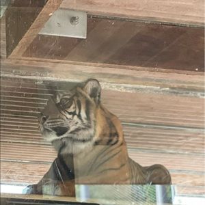 Meet your Posher, Sushmita